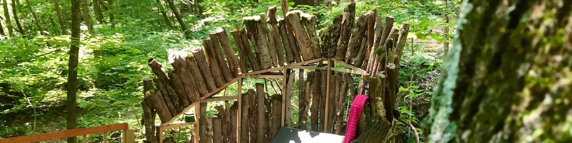 Bathe in the forest...find this on the roof of the outdoor shower house down the hill from the guest house.