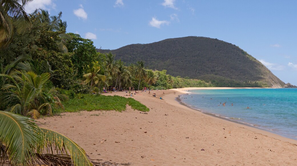 Panorama from the beach of Grande Anse in Deshaies, Guadeloupe
