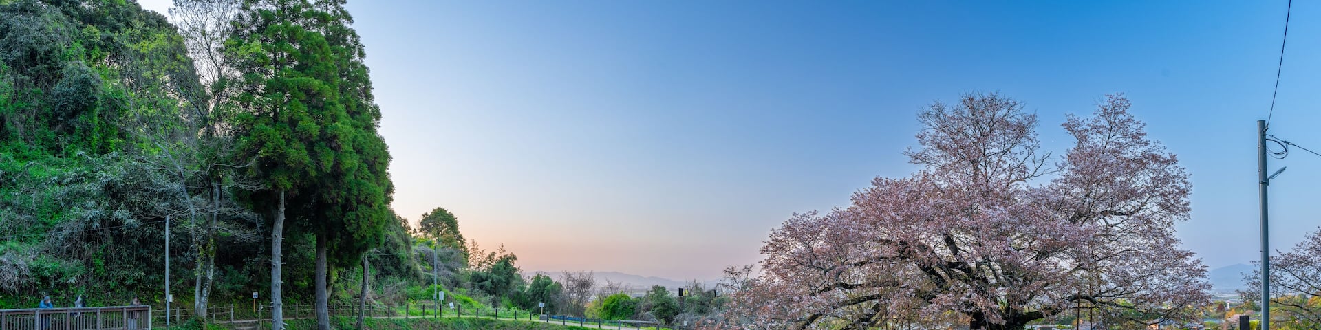 美しい夕暮れの水鏡に映える一本桜(観光スポット)
A single cherry tree reflected in the water mirror at a beautiful sunset (sightseeing spot)
日本(春)
Japan (spring)
九州・福岡県久留米市
Kurume City, Fukuoka Prefecture,
「浅井の一本桜」