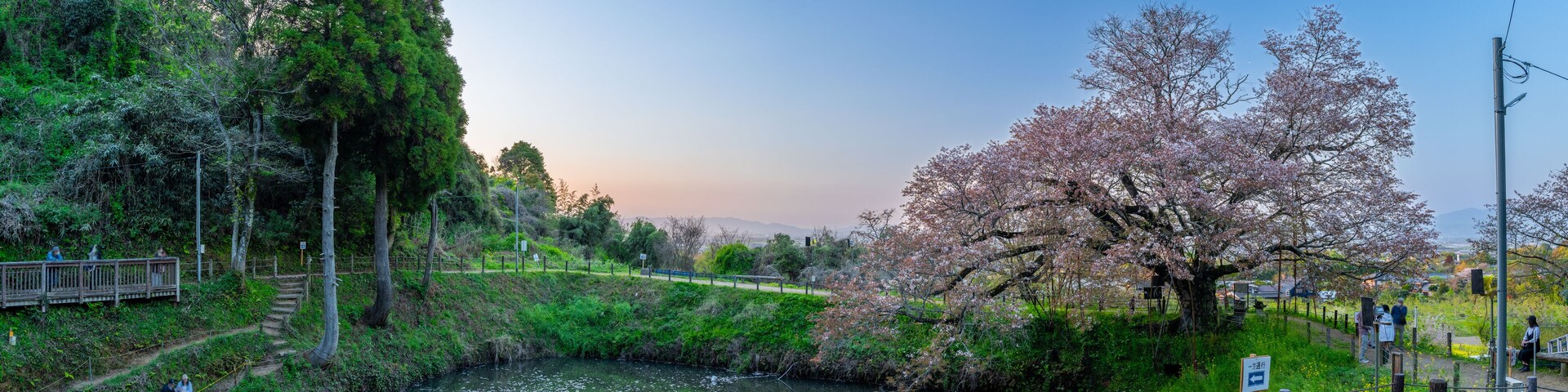 美しい夕暮れの水鏡に映える一本桜(観光スポット)
A single cherry tree reflected in the water mirror at a beautiful sunset (sightseeing spot)
日本(春)
Japan (spring)
九州・福岡県久留米市
Kurume City, Fukuoka Prefecture,
「浅井の一本桜」