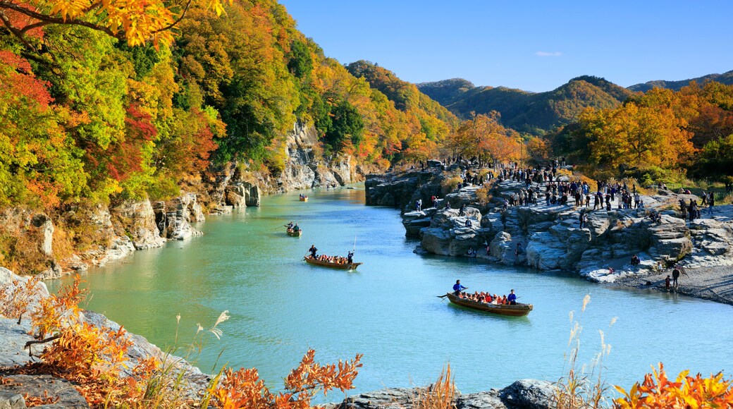 Distrito de Chichibu