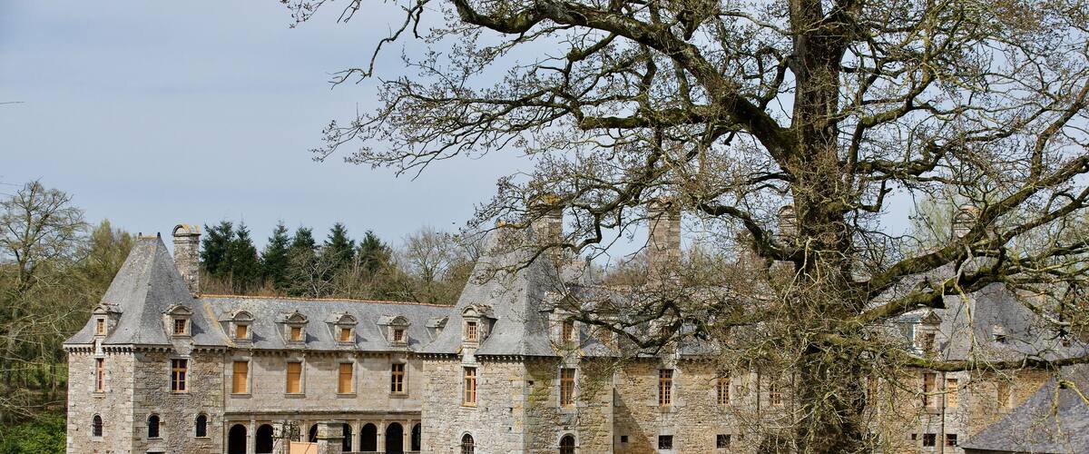 A historic stone castle with a moat and a large tree in the foreground.