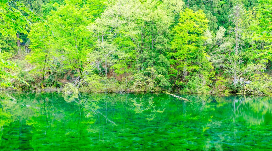 Distrito de Nakauonuma