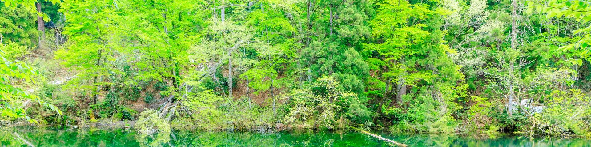 初夏の龍ヶ窪 新潟県中魚沼郡 Ryugakubo in early summer. Niigata Pref, Nakauonuma District.