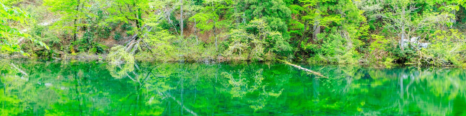 初夏の龍ヶ窪 新潟県中魚沼郡 Ryugakubo in early summer. Niigata Pref, Nakauonuma District.