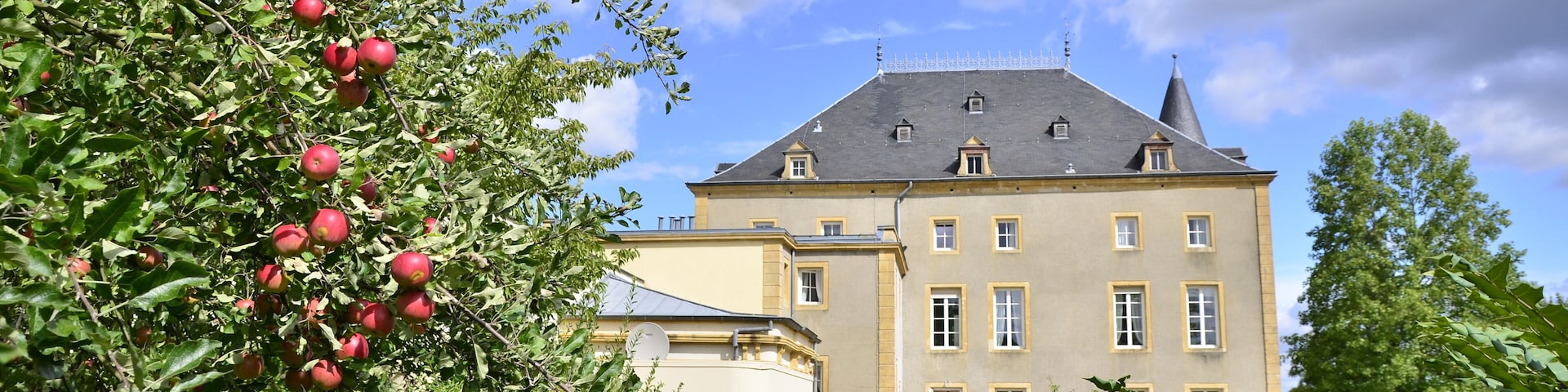 Castle of Schengen (L)
