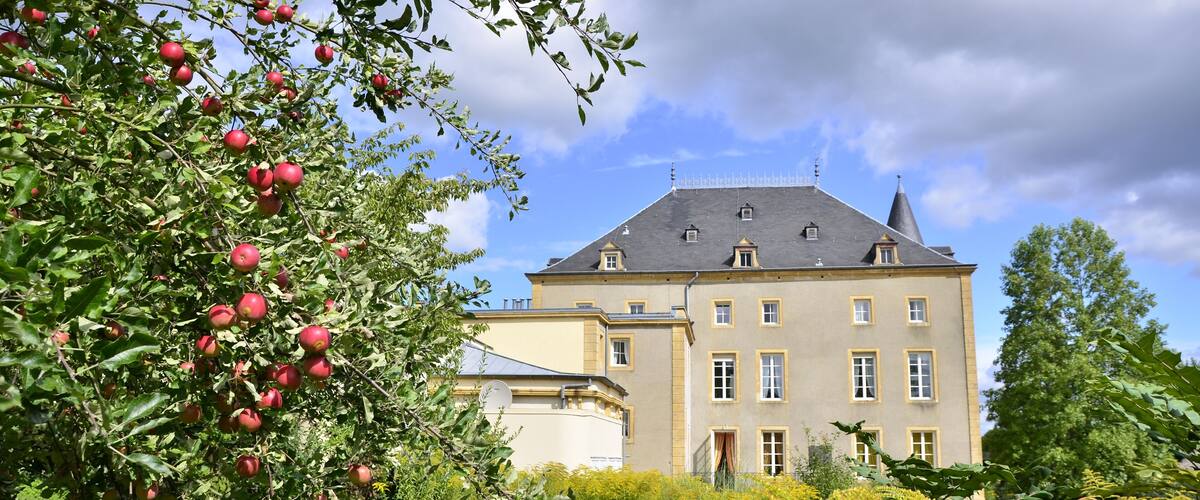 A large, historic building with a symmetrical facade, surrounded by lush greenery and flowering plants.