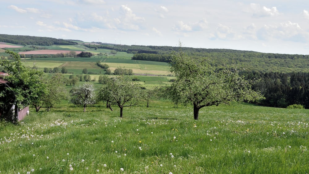 Ländliche Landschaft mit sanften Hügeln, einem Bauernhof und blühenden Bäumen.