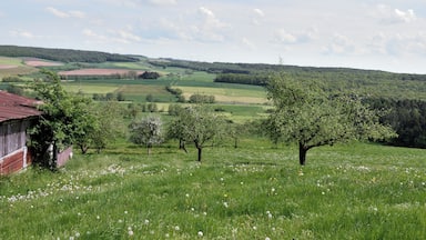 Flouer am Südoste vu Frombuerg, Gemeng Rouspert. Um Horizont ze gesinn: d'Wandmillen am Nordweste vu Mompech.