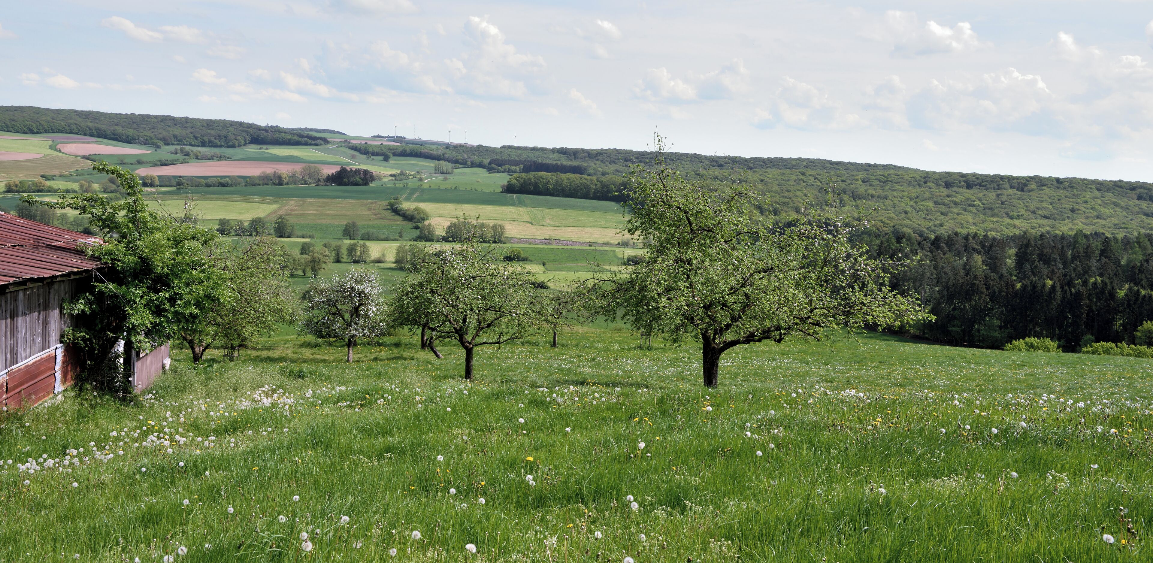 A rural landscape with rolling hills, a barn, and blooming trees.