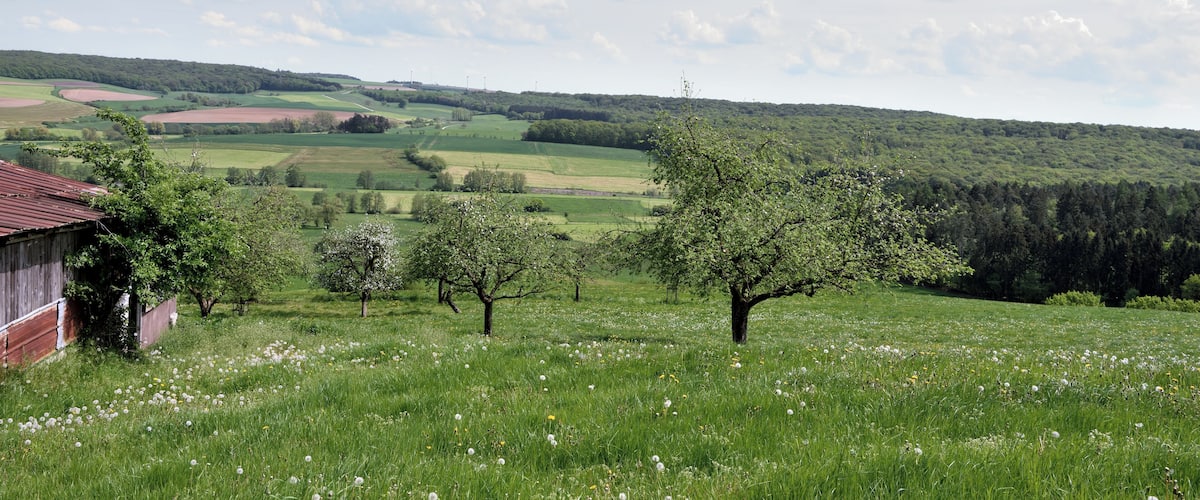 A rural landscape with rolling hills, a barn, and blooming trees.