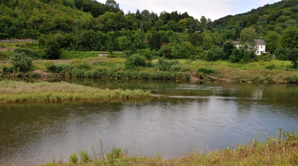 Doudegen Arm vun der Sauer ënner Rouspert .