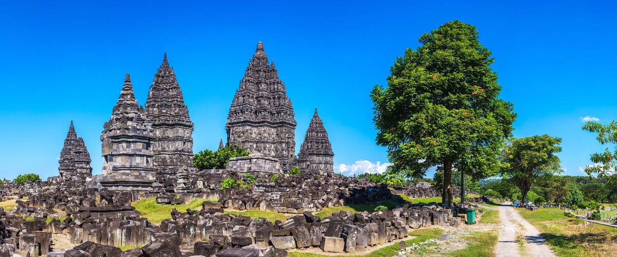 Ancient stone ruins with multiple tiered towers and a large tree in the foreground.