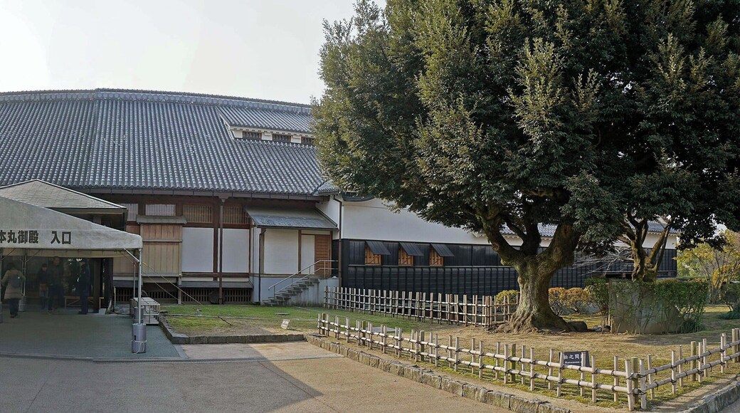 Kumamoto castle , 熊本城