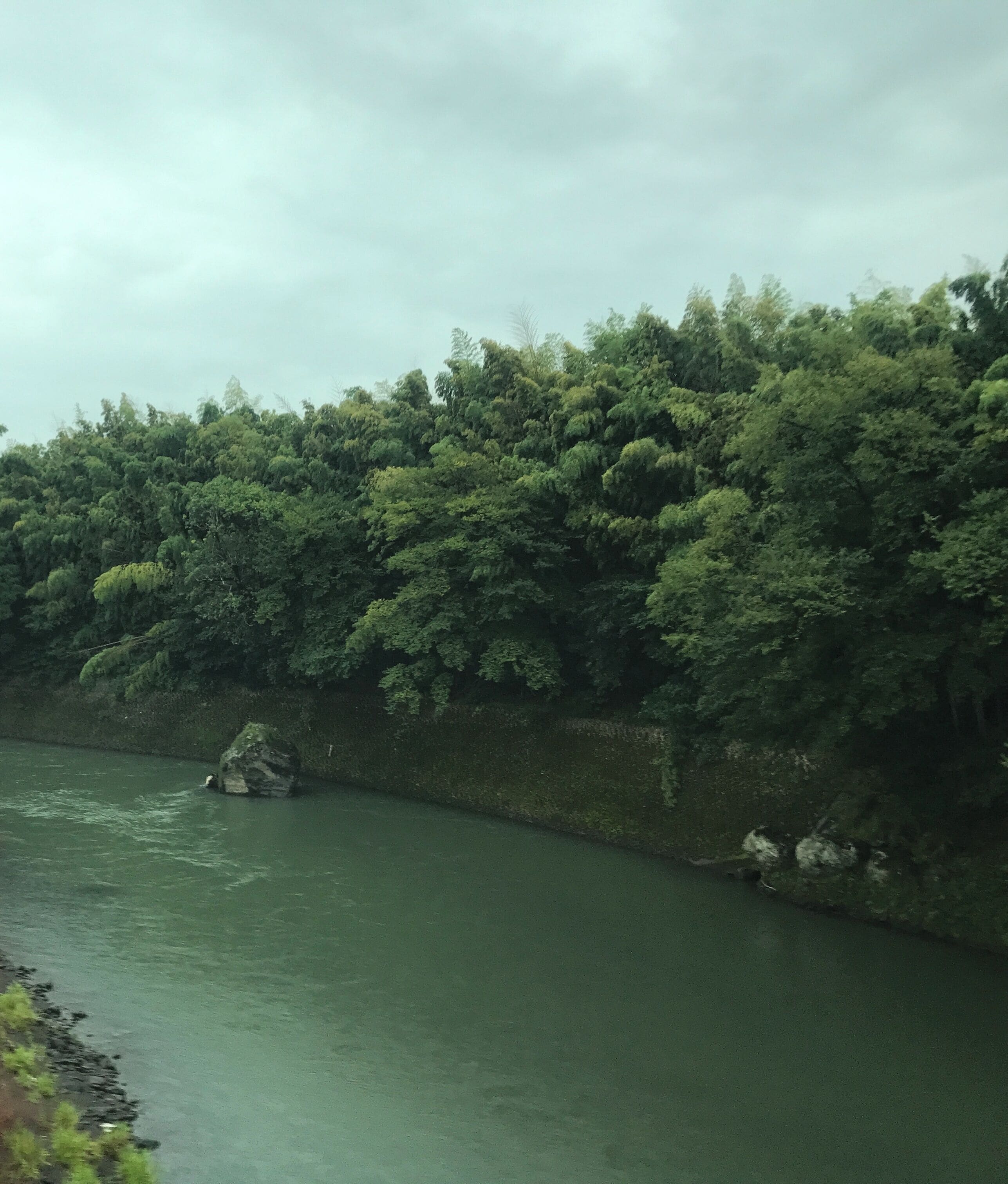 豊肥本線の列車内より望む白川(上流側)