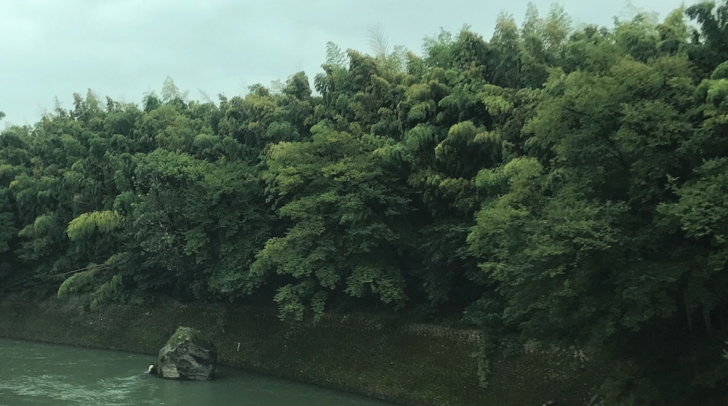 豊肥本線の列車内より望む白川(上流側)