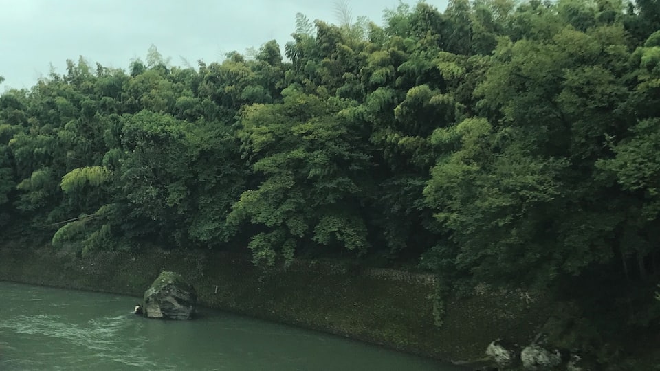 豊肥本線の列車内より望む白川(上流側)