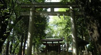 太田窪氷川神社 Daitakubo Hikawa shrine