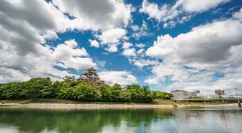 Long exposure of Okayama Caste in Japan