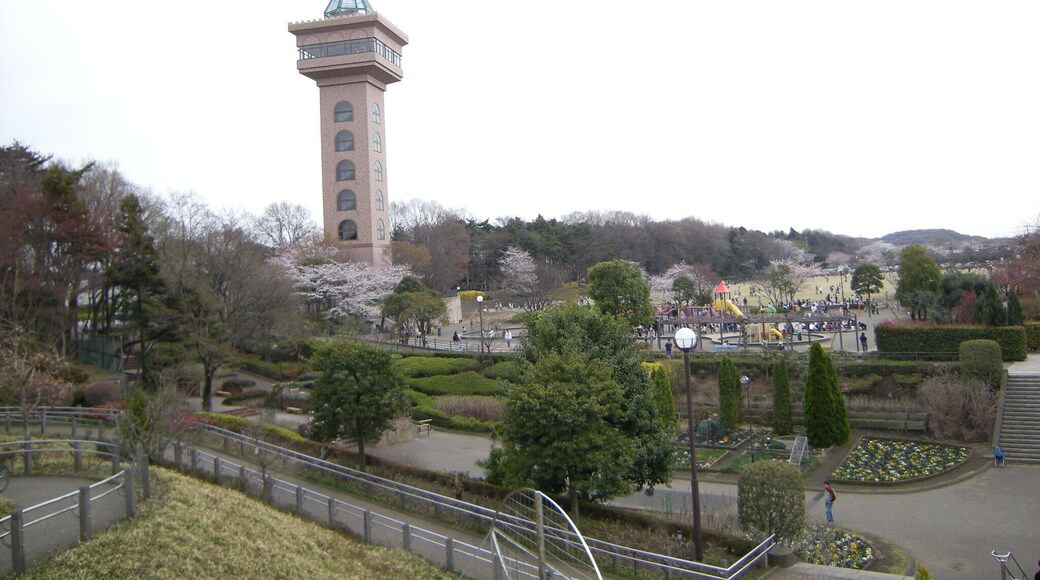 相模原公園