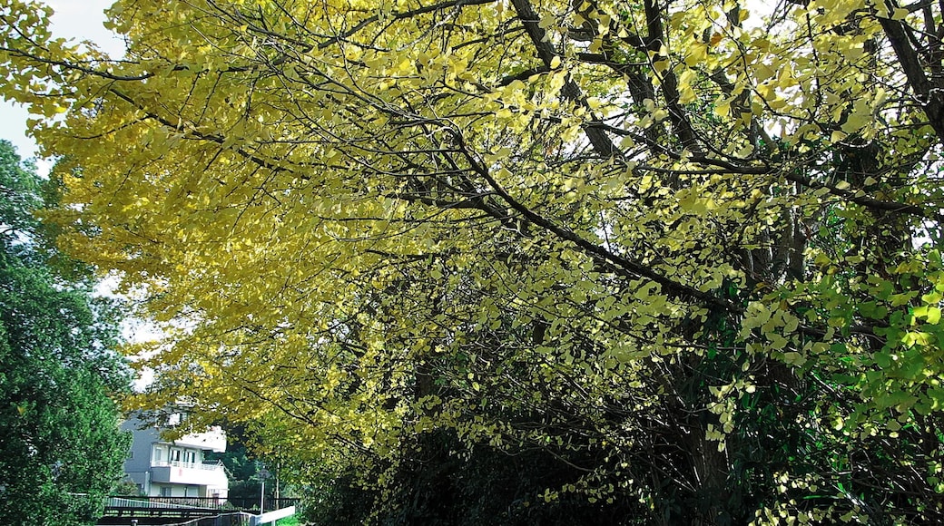 ヘルシーロード