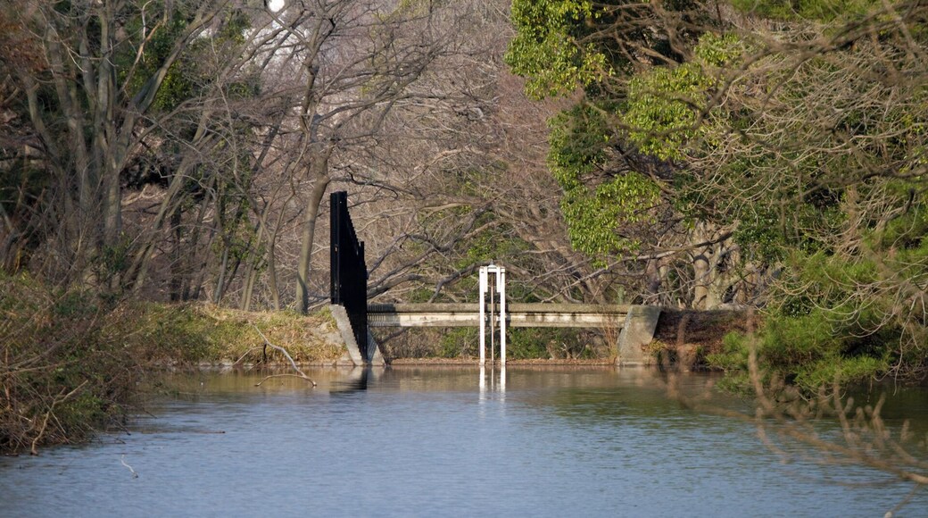 Nintoku's tomb/仁徳天皇陵