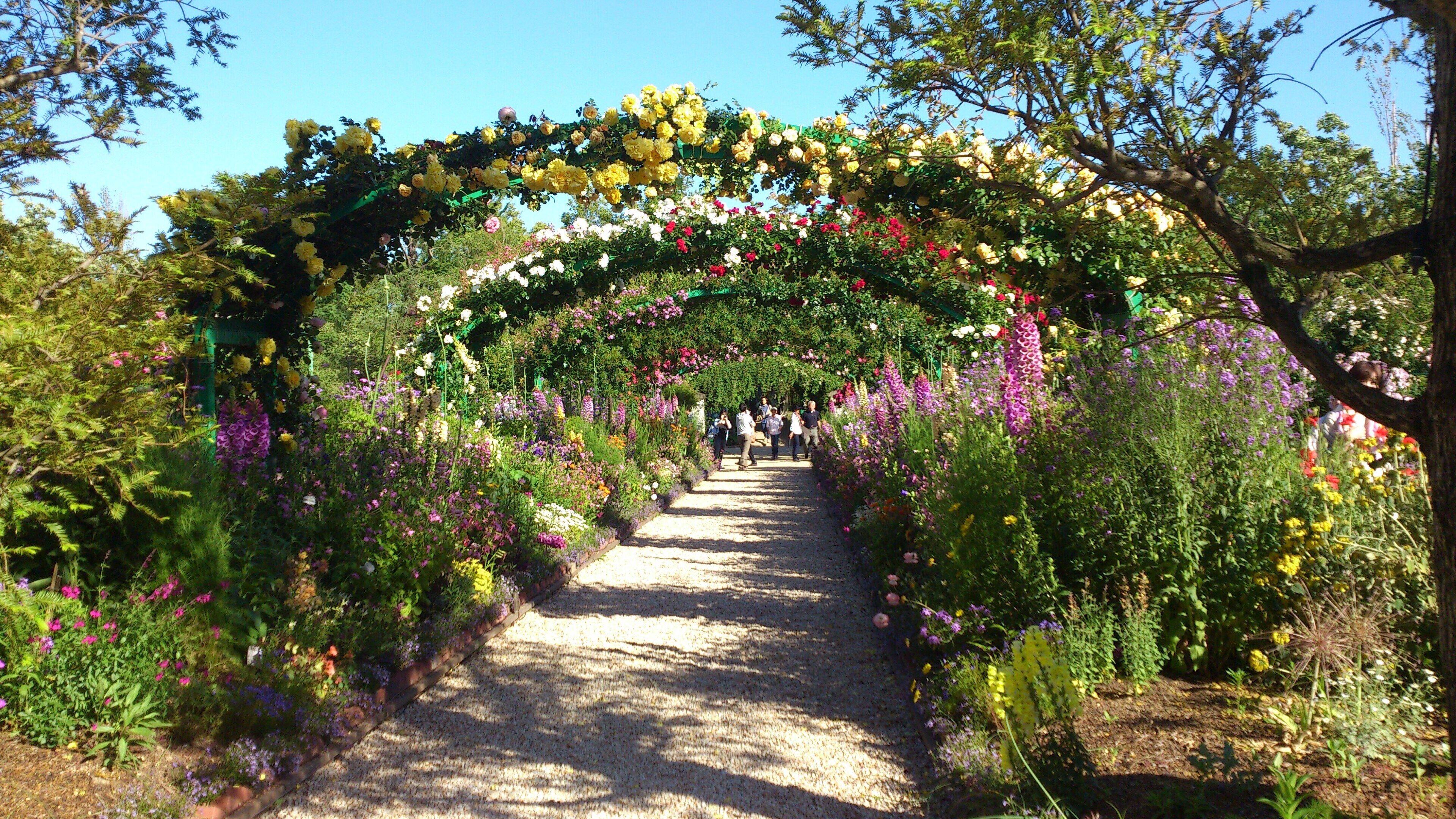浜名湖ガーデンパーク会場「花美の庭」バラアーチ