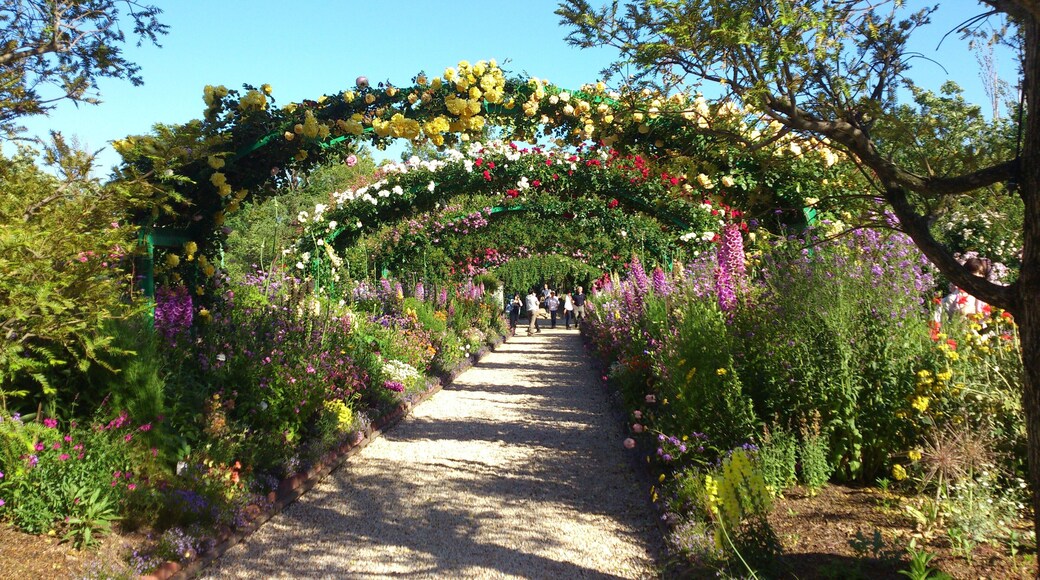 浜名湖ガーデンパーク会場「花美の庭」バラアーチ