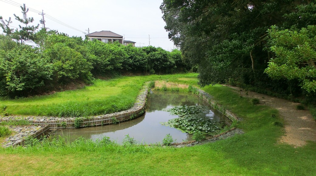 ホタルの住む六兵衛池