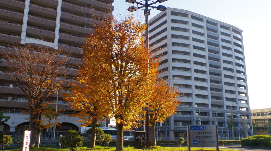 In front of Kōmyōike Station