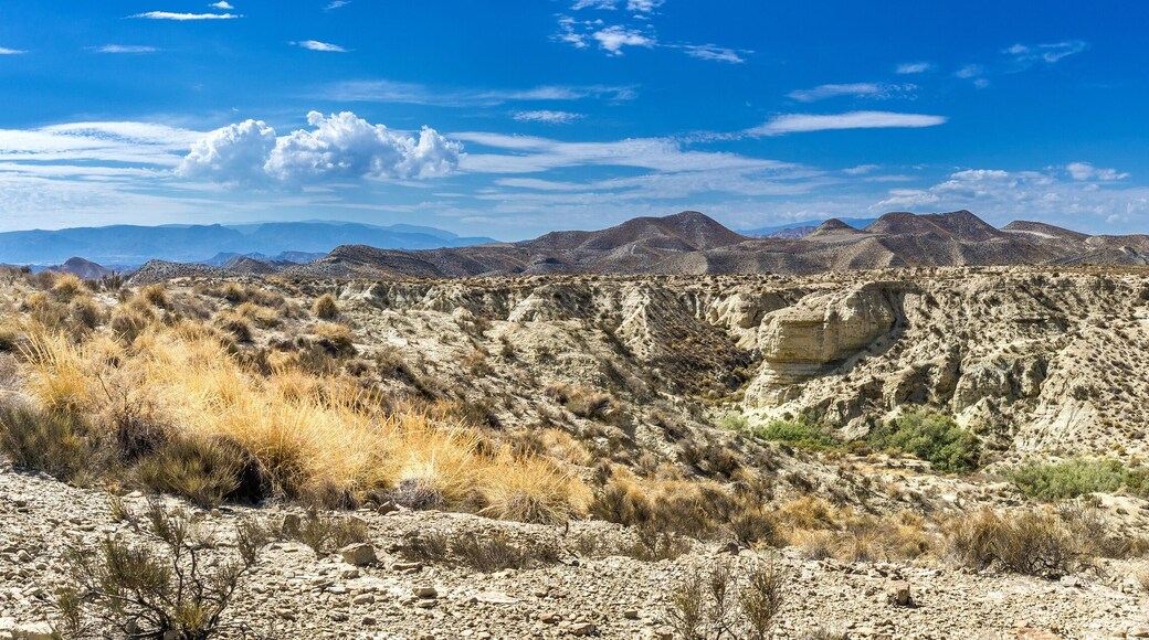 Panorama desert of Tabernas. View of the Tabernas desert in Andalusia in southern Spain