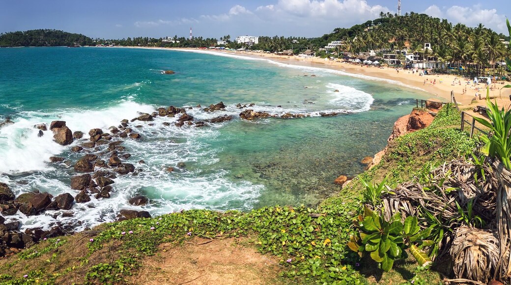 beautiful beach in Mirissa, Sri Lanka