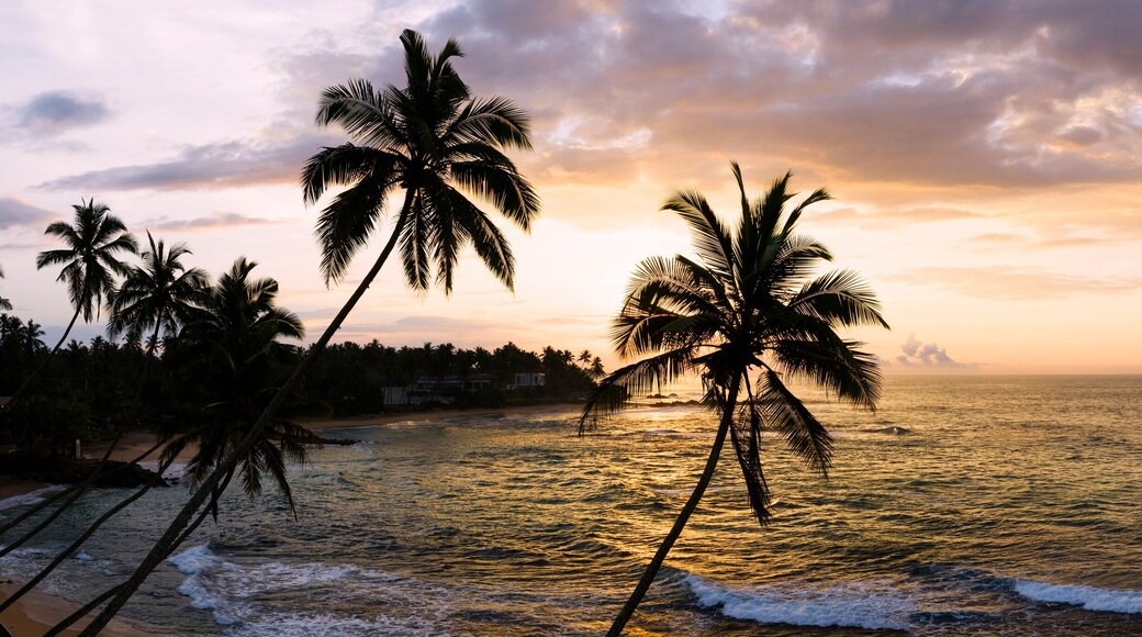 Sri Lanka beach and palm trees sunset