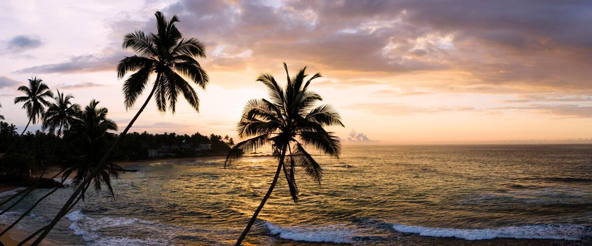 A beach with palm trees and ocean waves at sunset.