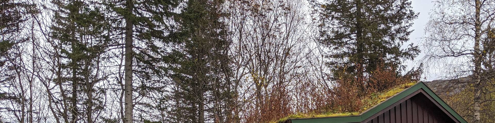 Quaint little spot. Bring food with...