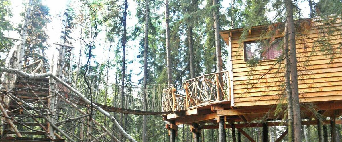 Sven's Basecamp Hostel in Fairbanks has some of the coolest accommodation options--such as this treehouse, a tipi, cabins, wall tent glamping, etc. Sven also has a couple cute dogs and one teeny tiny husky puppy that everyone fought over to hold. Rent canoes here as well. Showers are costly (25 cents per minute!) but only because their water has to be brought in via truck so they try not to use too much too quickly. Wifi available.
More on www.ajauntwithjoy.com