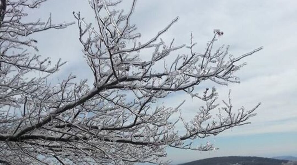 Everything is frozen over at Wintergreen Resort.