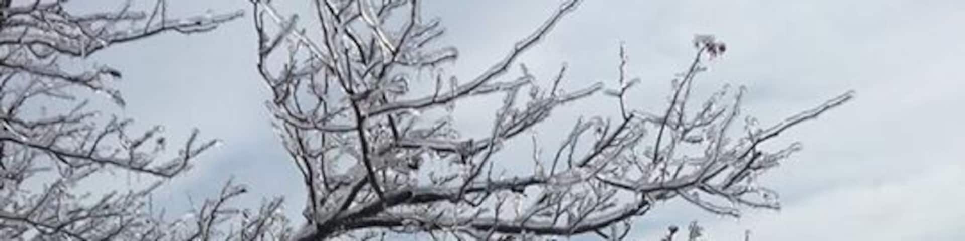 Everything is frozen over at Wintergreen Resort.