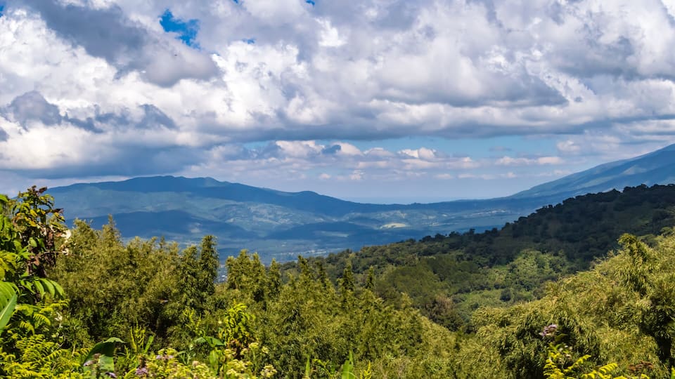 View of the forest and the mountains of Aberdare