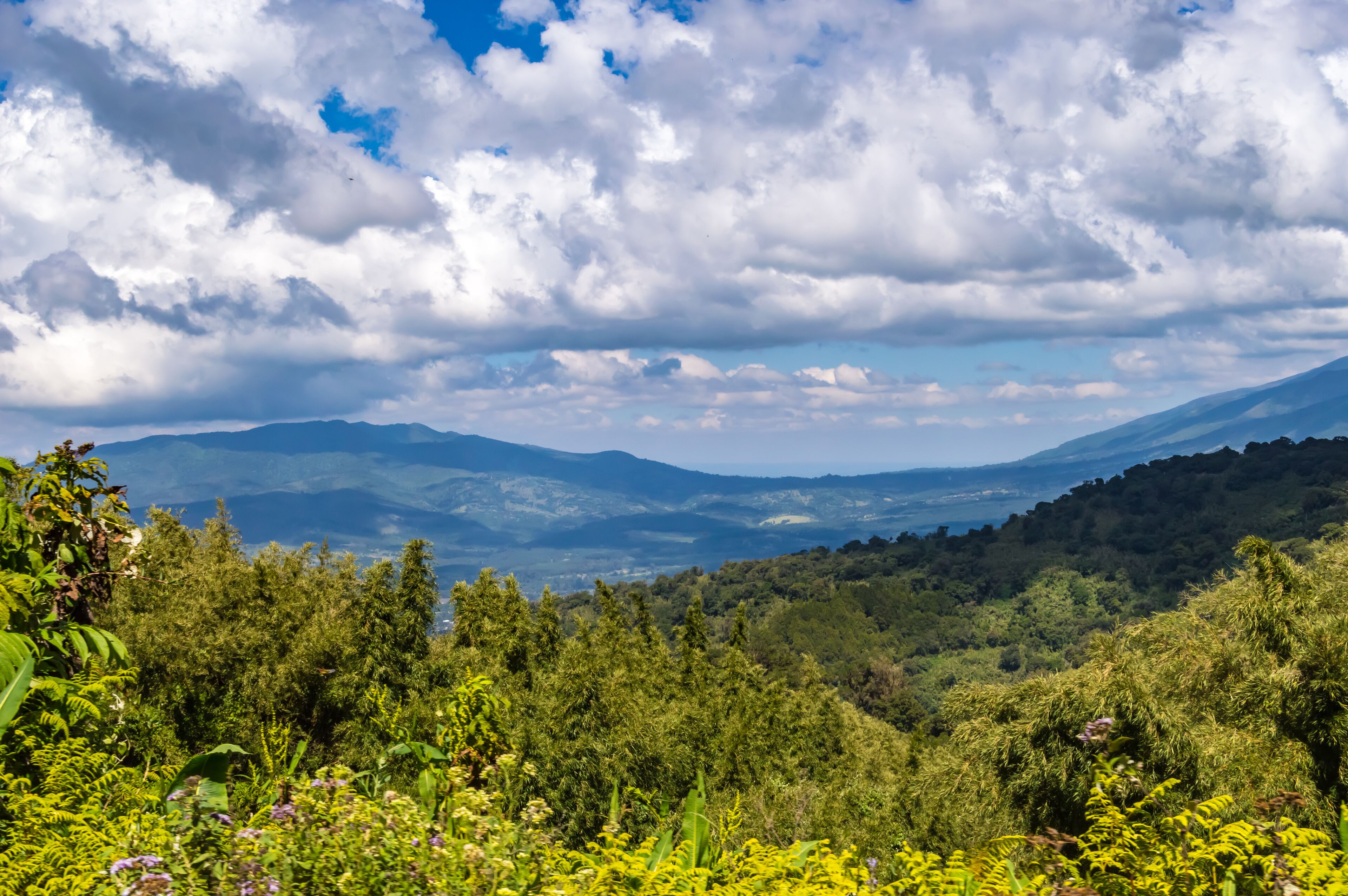 A lush green valley with mountains in the background and a partly cloudy sky.