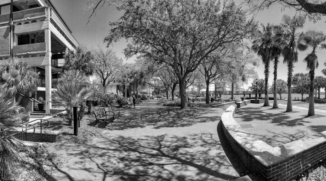 BEAUFORT, SC - APRIL 3RD, 2018: Tourists walk along the ocean promenade on a sunny day, panoramic view. - Panoramic view