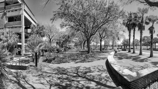 A park with trees, benches, and a pathway.