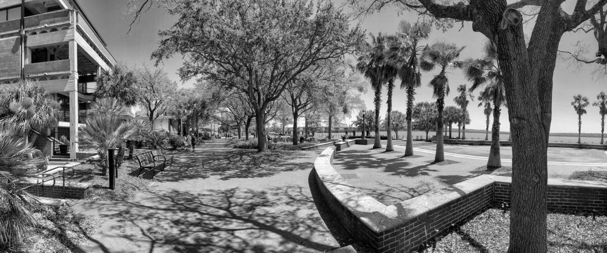 A park with trees, benches, and a pathway.