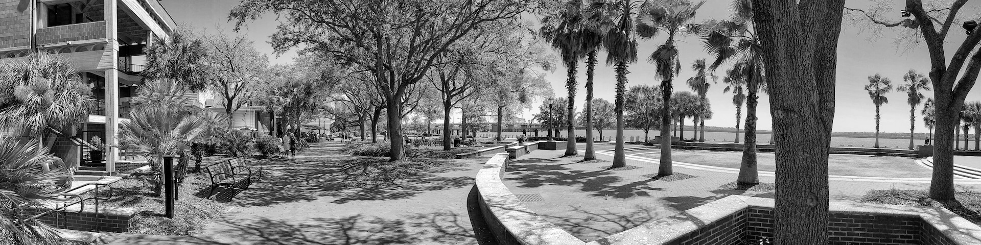 A park with trees, benches, and a pathway.