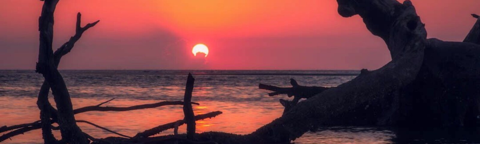 One last one from the trip. I can't say enough about how amazing this place is! quintessential low country.