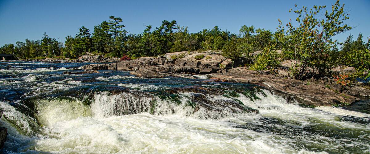 A river with white water rapids, surrounded by rocks and trees.