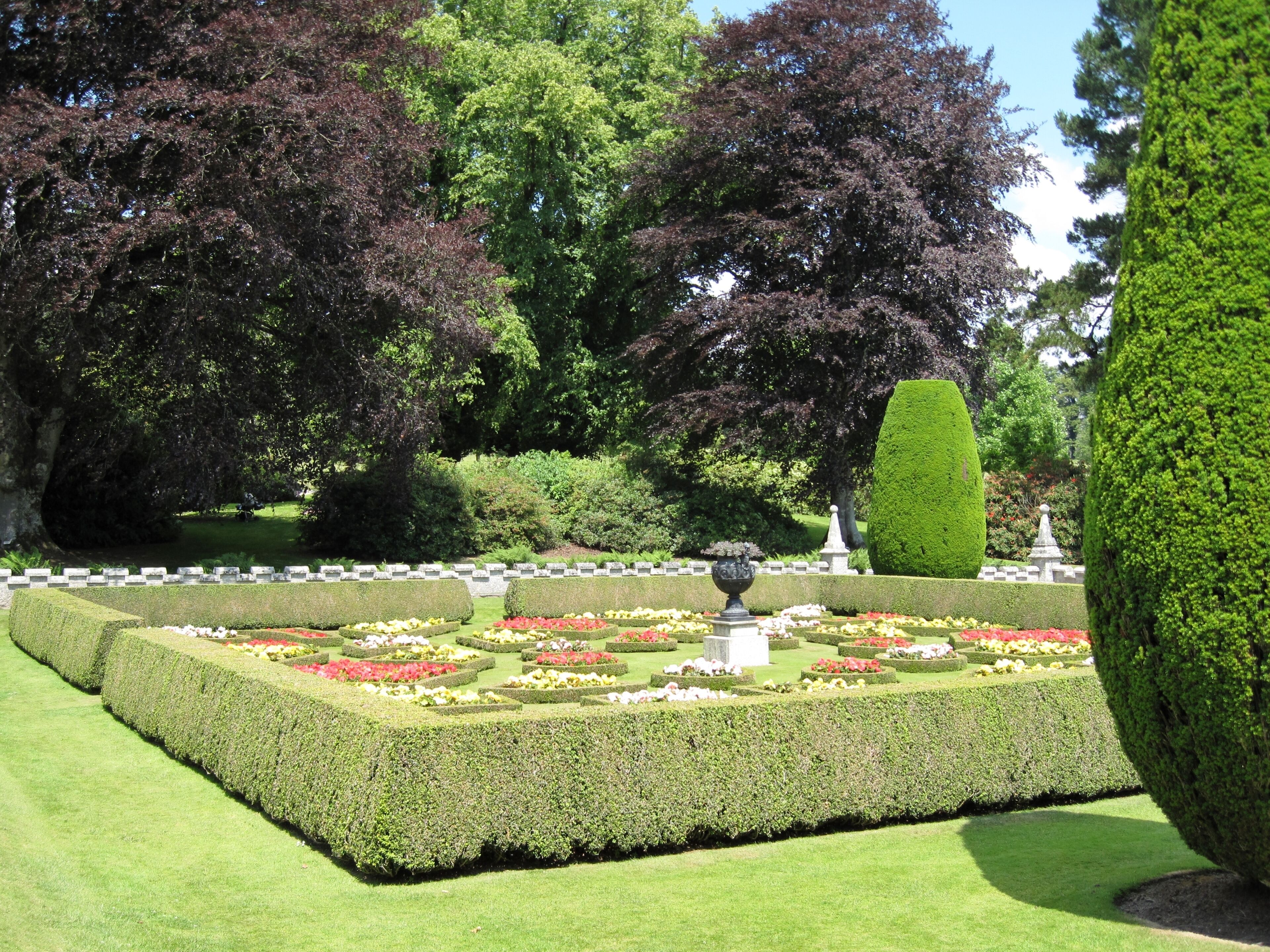 Parterre Garden with Taxus baccata Topiary at Lanhydrock - Cornwall - England.