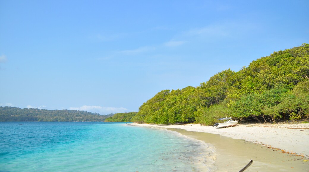 Peucang Island is an island located in Ujung Kulon, Banten, Indonesia. This island still has very beautiful scenery and there are still many wild animals in it.; Shutterstock ID 1503306950; Purchase O