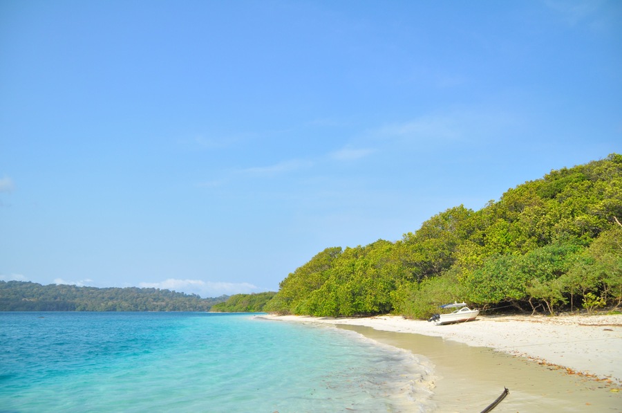 Peucang Island is an island located in Ujung Kulon, Banten, Indonesia. This island still has very beautiful scenery and there are still many wild animals in it.; Shutterstock ID 1503306950; Purchase O