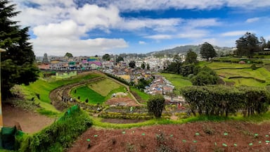 Different shades of colors #nature #lifeatexpedia #valley #India #ooty #landscapephotography